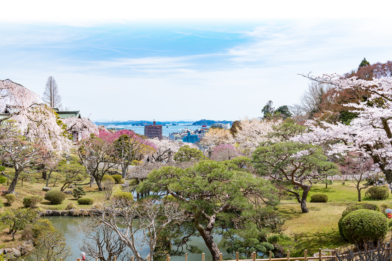 千葉鳶ロゴ